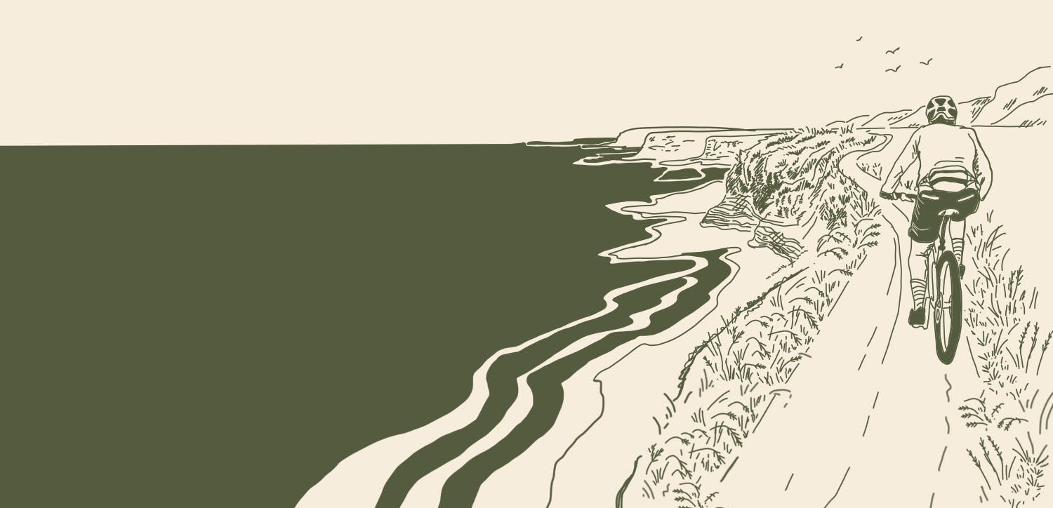 Drawing of mountain biker on a beachside trail with birds above.